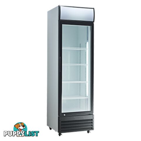 Refrigeration - Display chillers - Exquisite DC360P - 330L upright display fridge - Catering