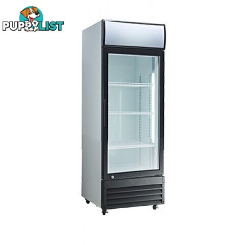 Refrigeration - Display chillers - Exquisite DC200P - 200L upright display fridge - Catering