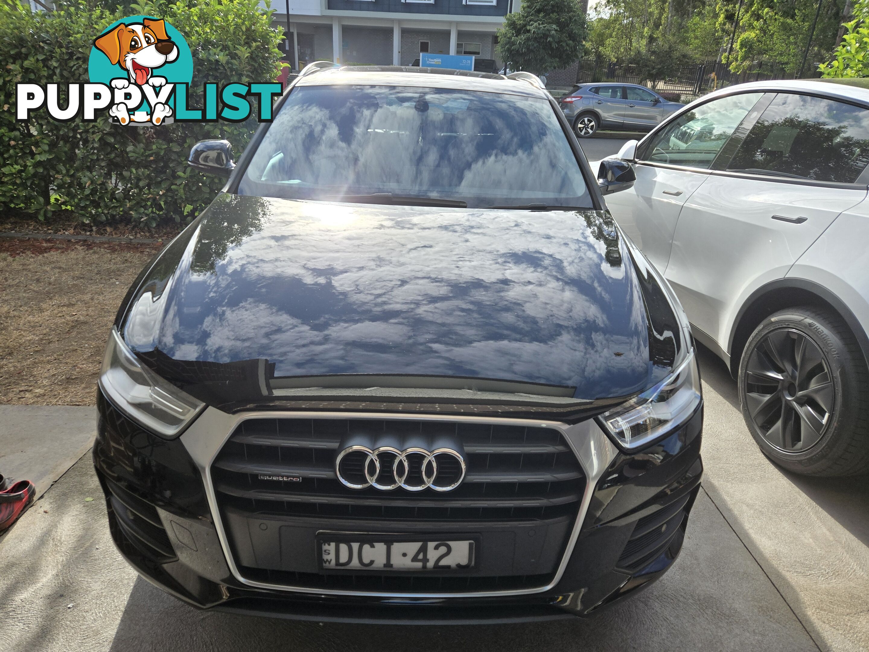 2015 Audi Q3 8UMY15 QUATTRO SUV Automatic