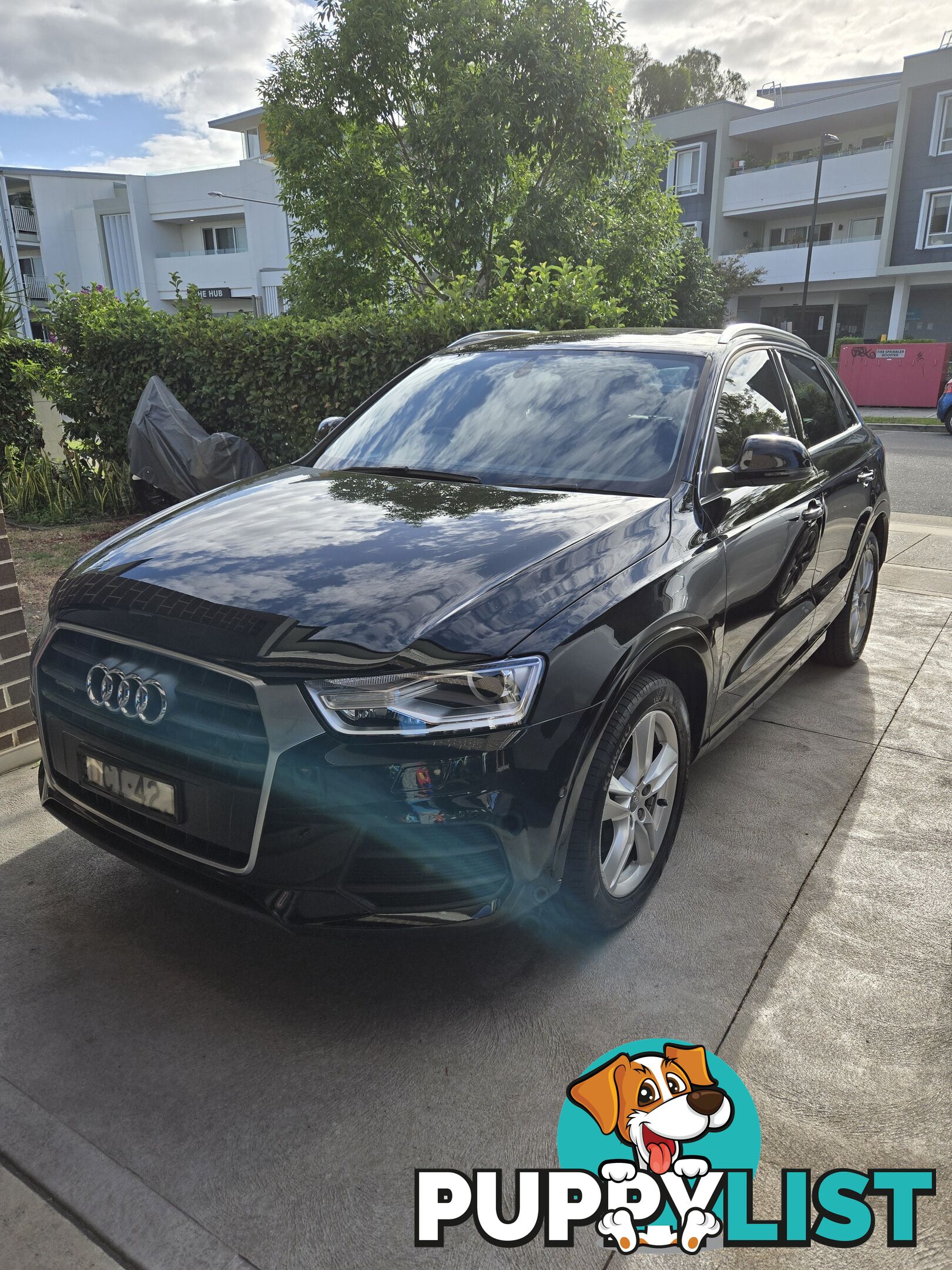 2015 Audi Q3 8UMY15 QUATTRO SUV Automatic