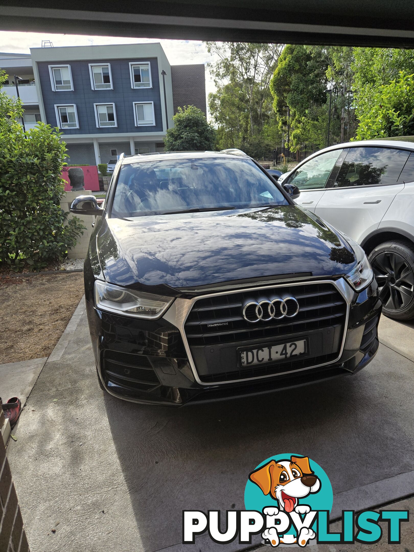 2015 Audi Q3 8UMY15 QUATTRO SUV Automatic