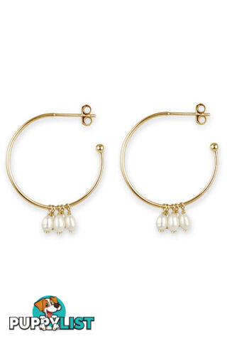 Bianc Gold Freshwater Pearl Cluster Drop Hoop Earrings 10100478