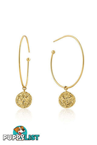 Ania Haie Boreas Hoop Earrings E009-03G - 5052469200281