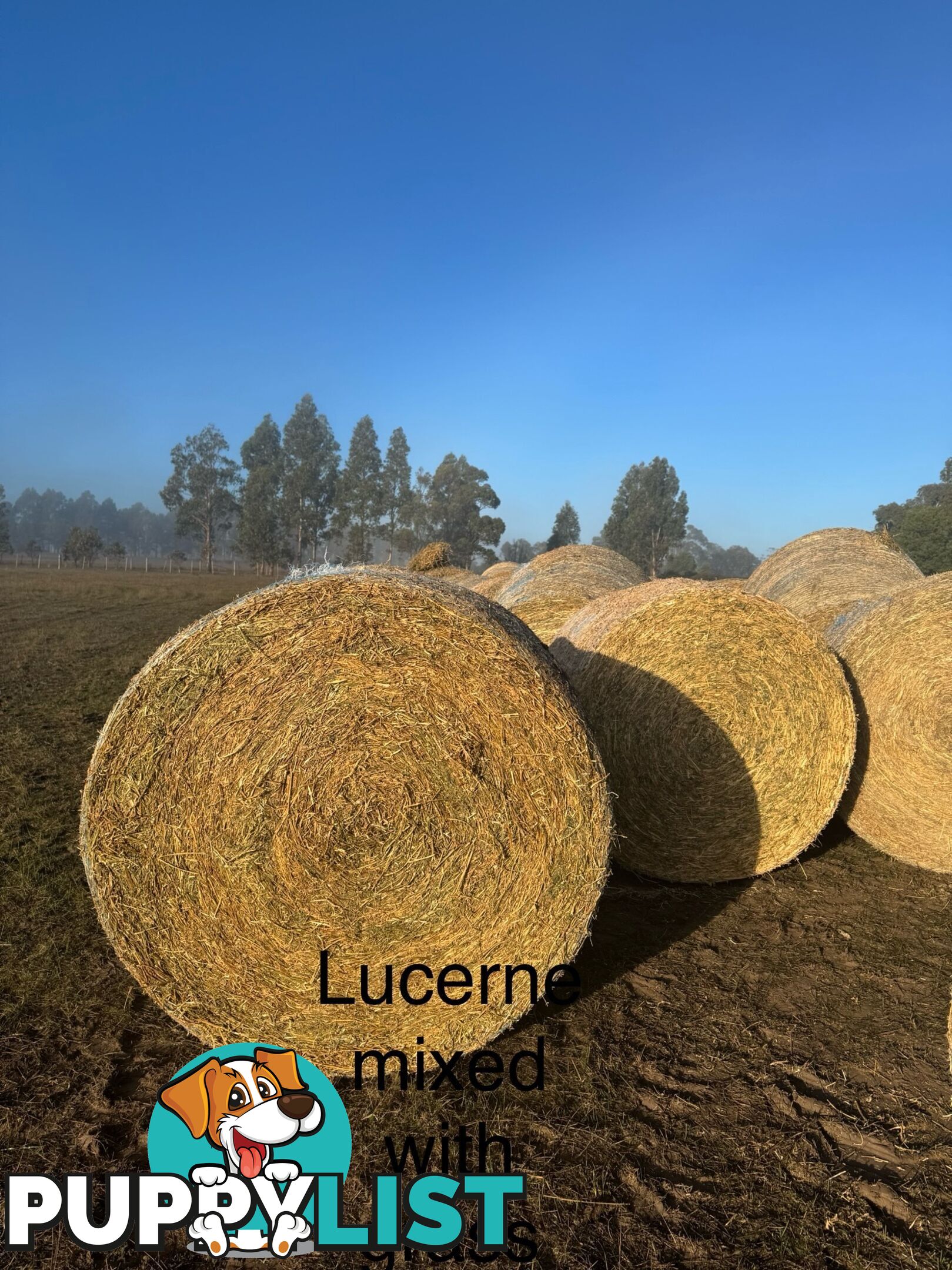 Hay bales 4x4 for sale