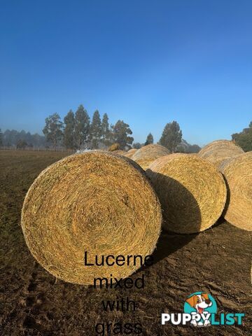 Hay bales 4x4 for sale