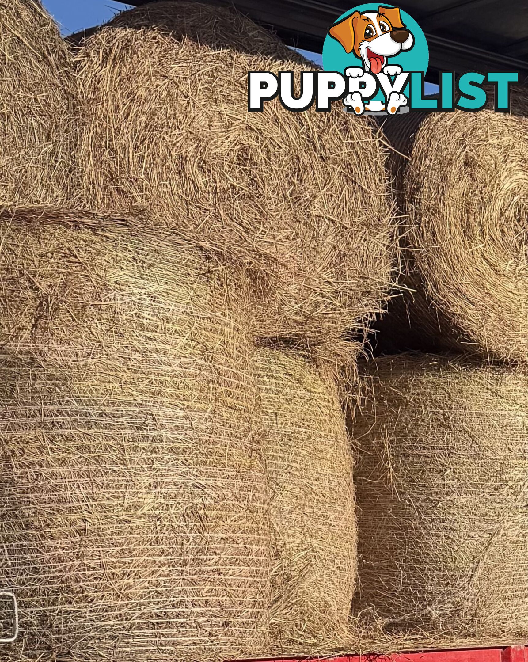 Hay bales 4x4 for sale