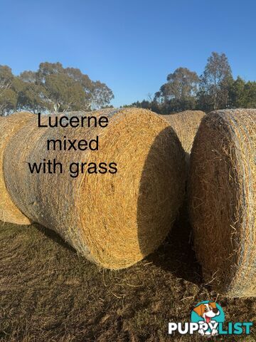 Hay bales 4x4 for sale