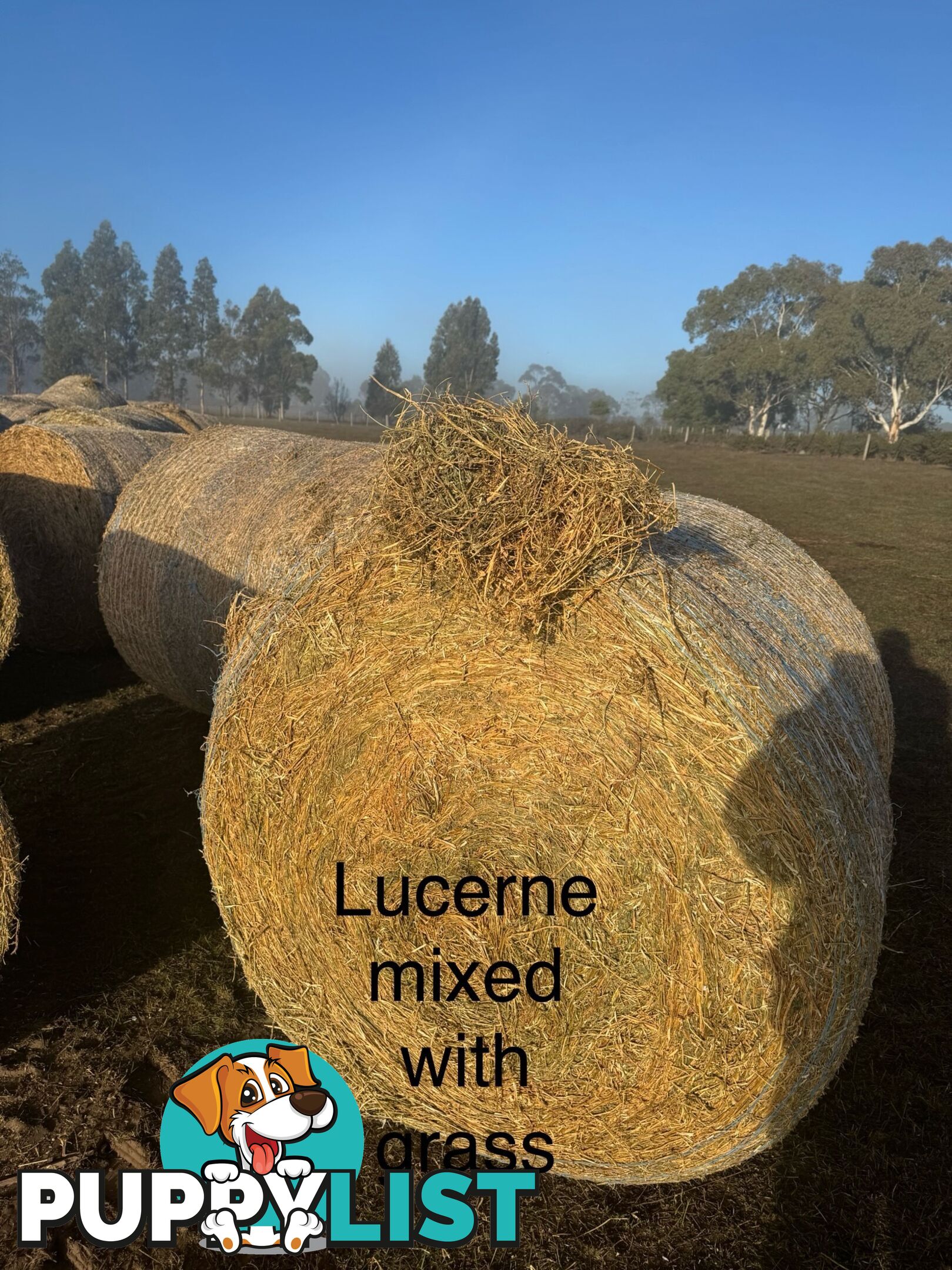 Hay bales 4x4 for sale