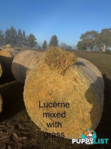 Hay bales 4x4 for sale