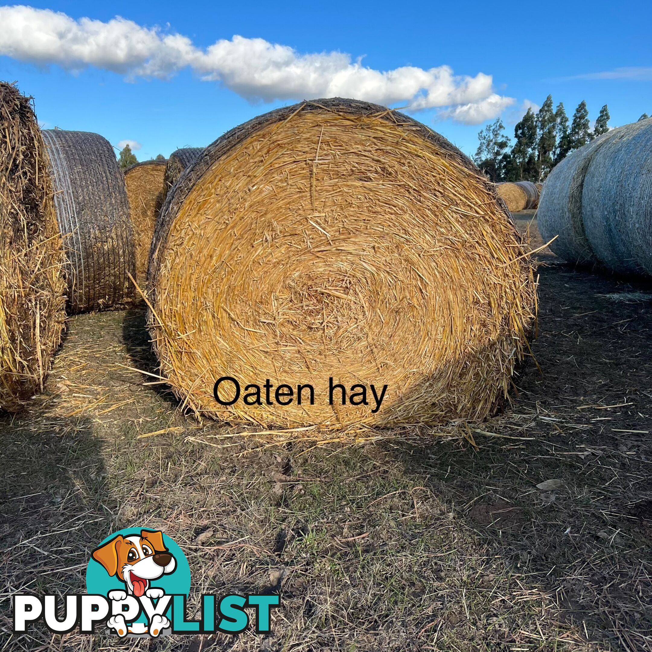 Hay bales 4x4 for sale