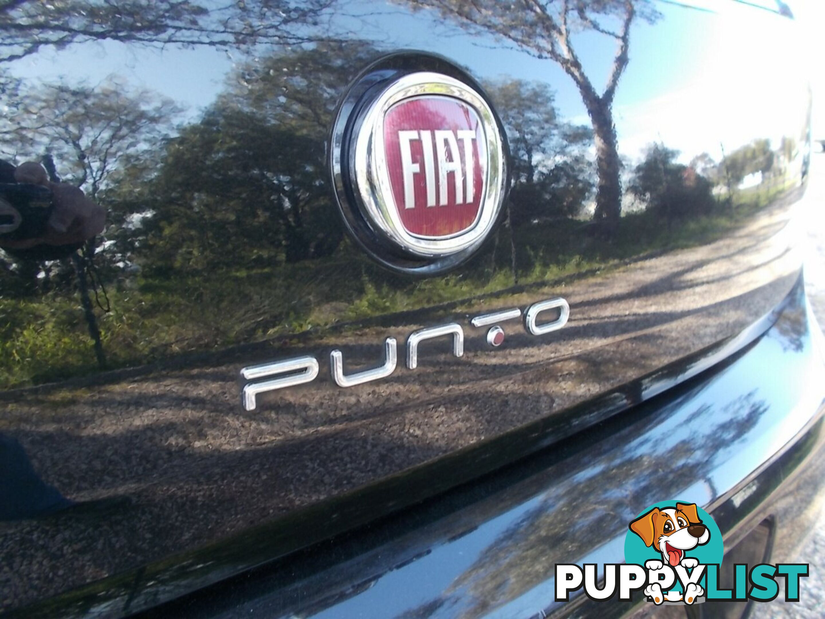 2014 FIAT PUNTO POP MY13 HATCHBACK