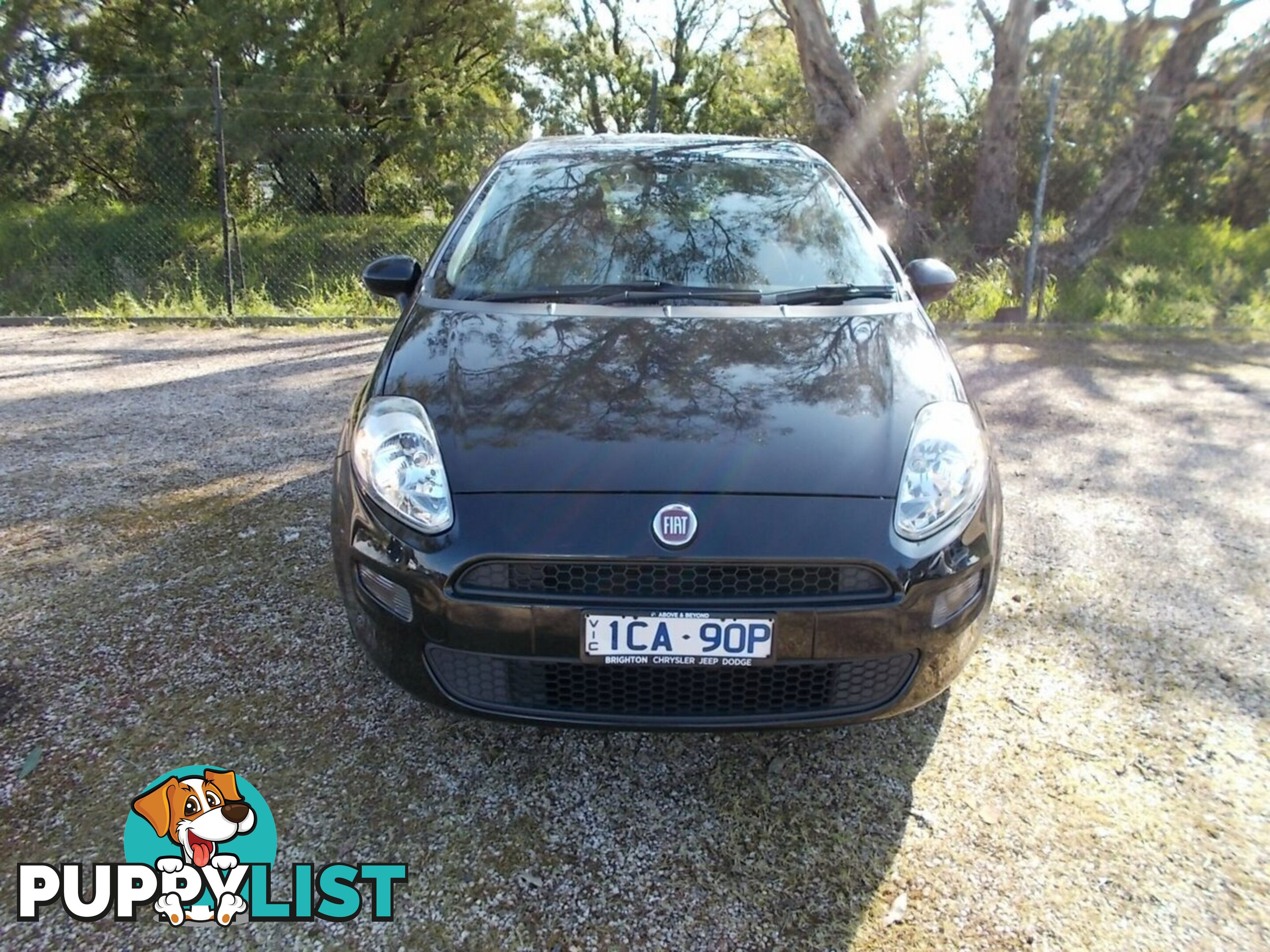 2014 FIAT PUNTO POP MY13 HATCHBACK