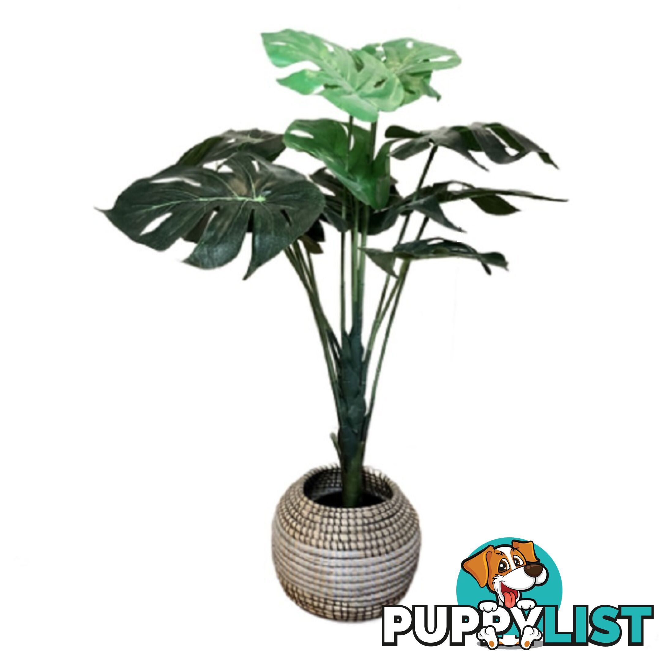🌿100cm Synthetic Plant Green Monstera in Hand Woven Pot