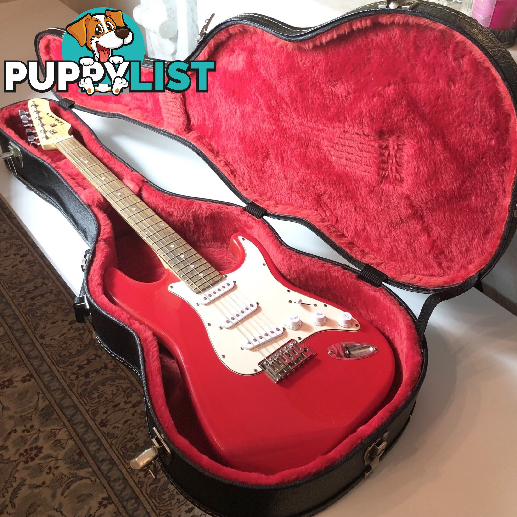 🎸RH Red Legacy (Epiphone) 6 String Electric Guitar, + Canvas & More