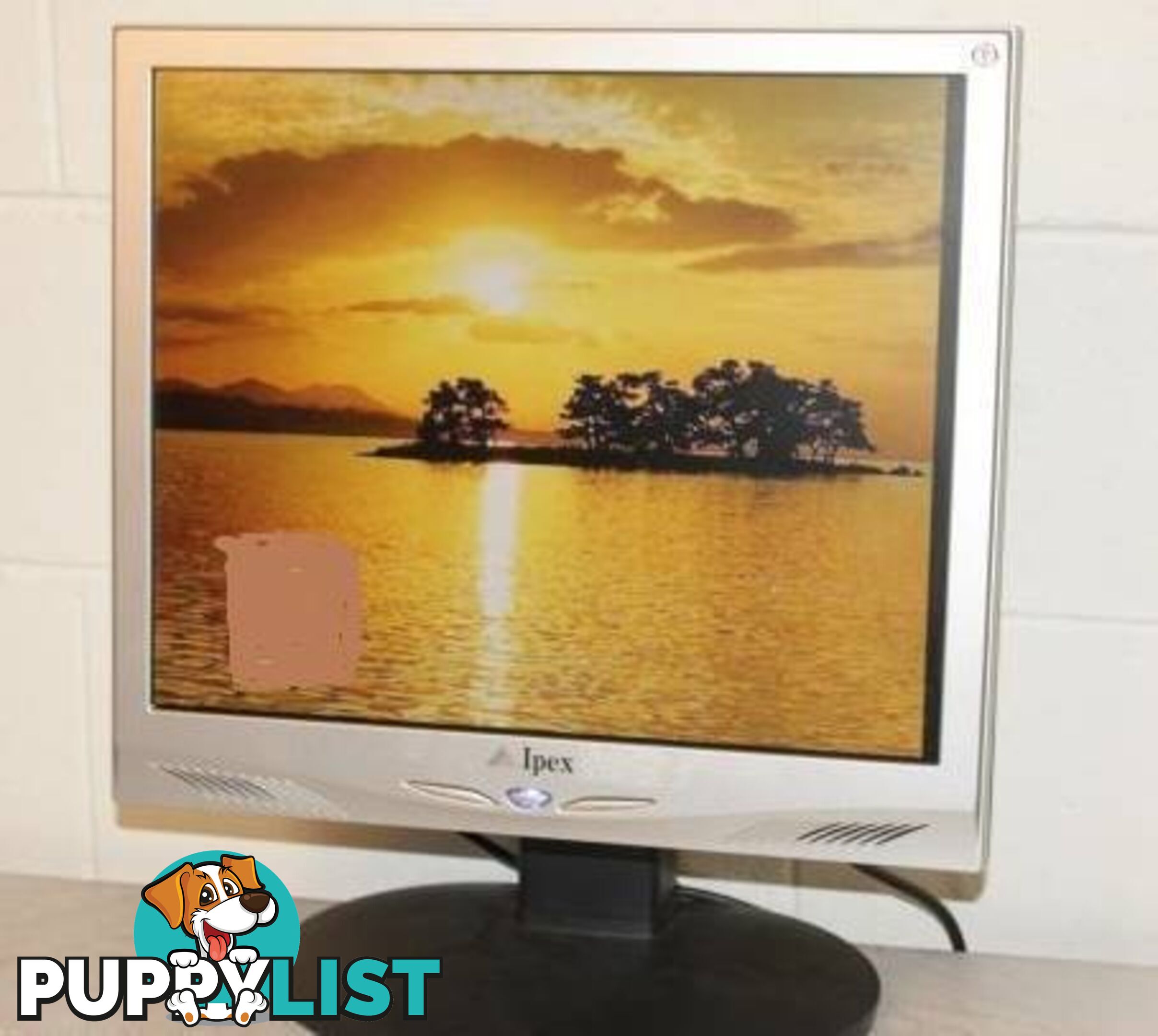 IPEX 22" WIDESCREEN STEREO MONITOR