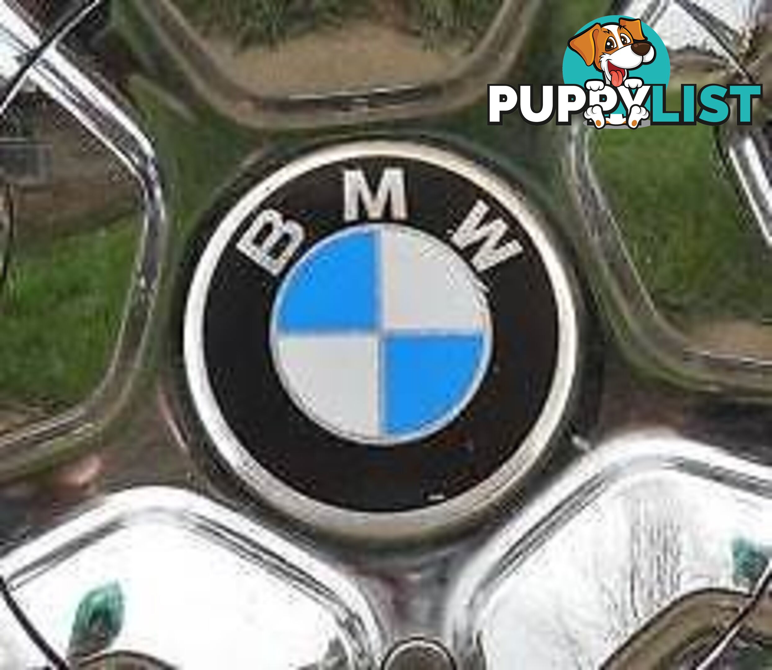 BMW METALLIC WHEEL CENTRE DISCS (new)