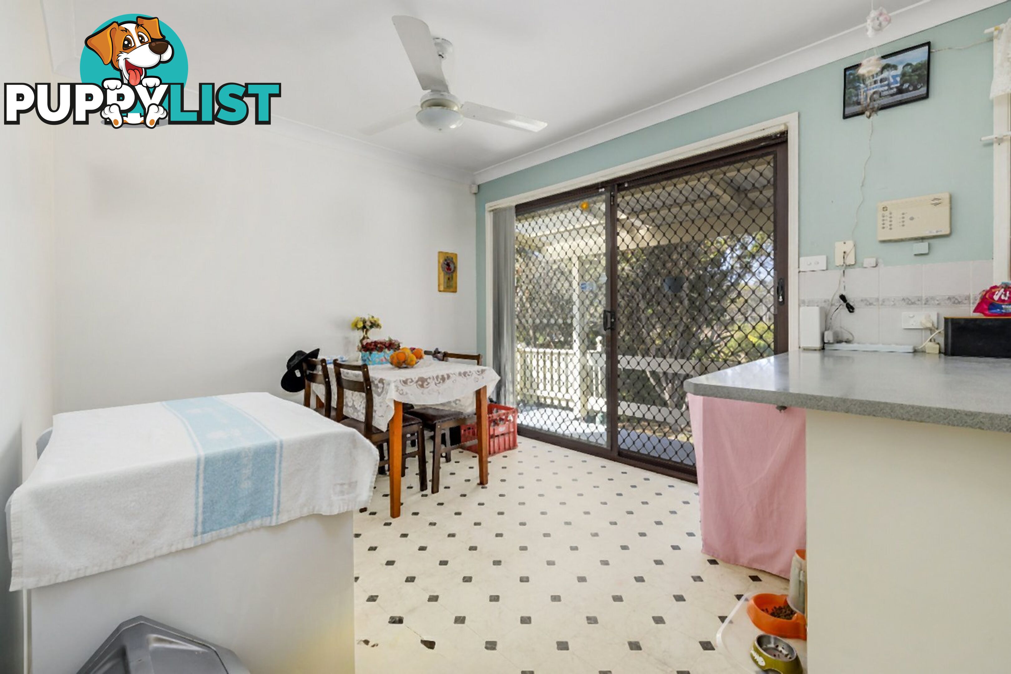 43 Bloomfield Street SOUTH KEMPSEY NSW 2440