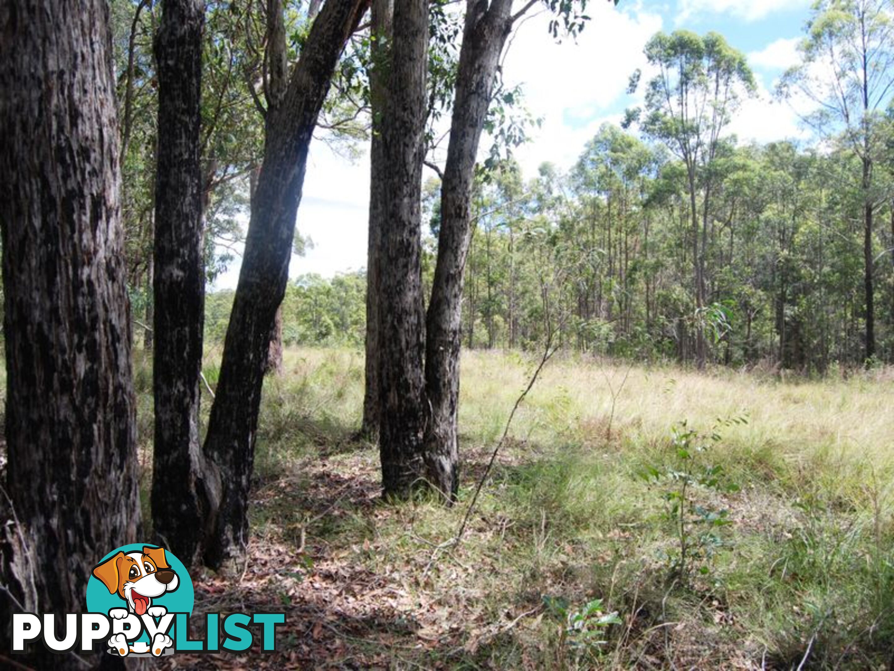 Lot 7 Armidale Road WILLAWARRIN NSW 2440