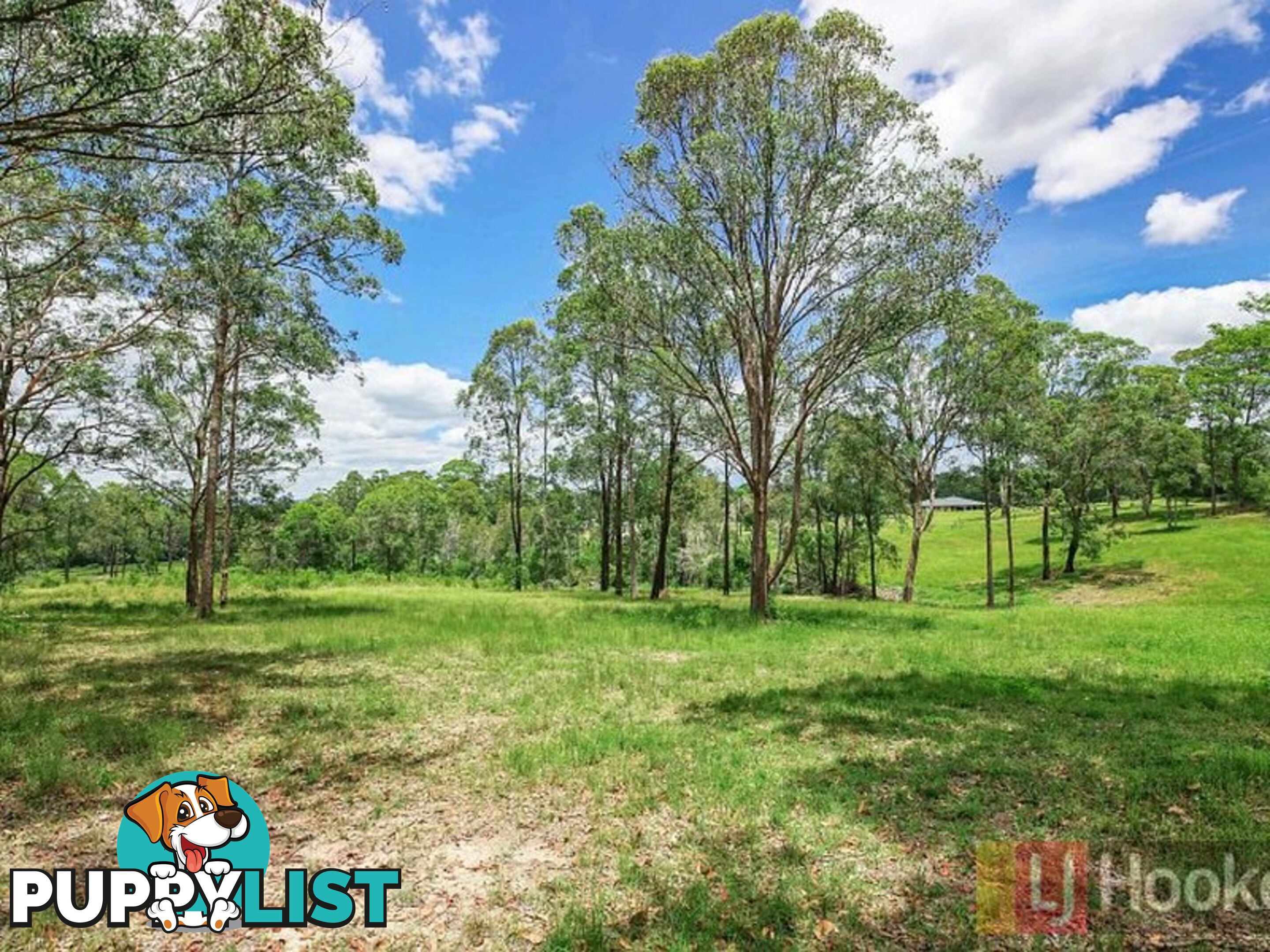 53 Hillview Drive YARRAVEL NSW 2440