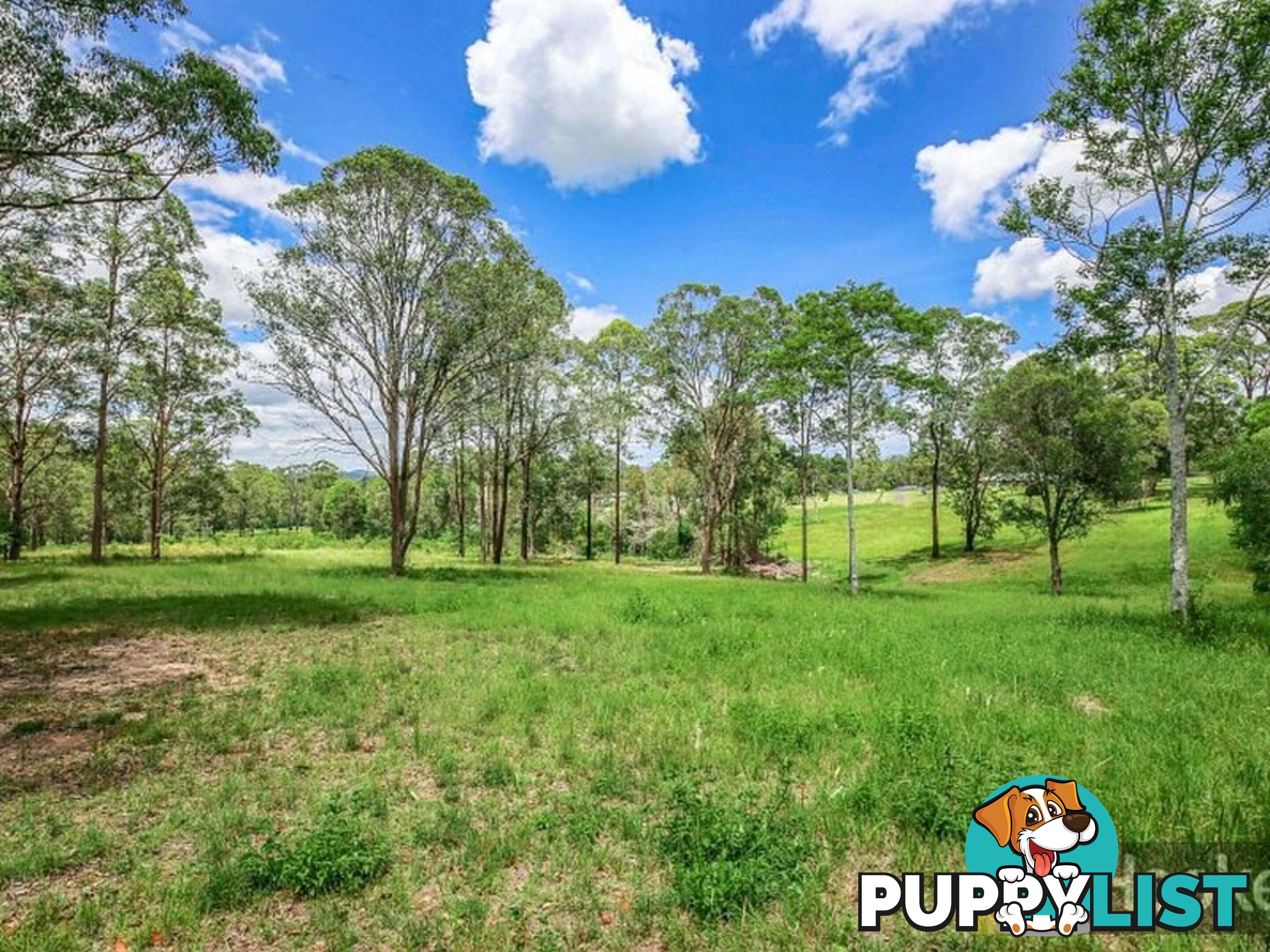 53 Hillview Drive YARRAVEL NSW 2440