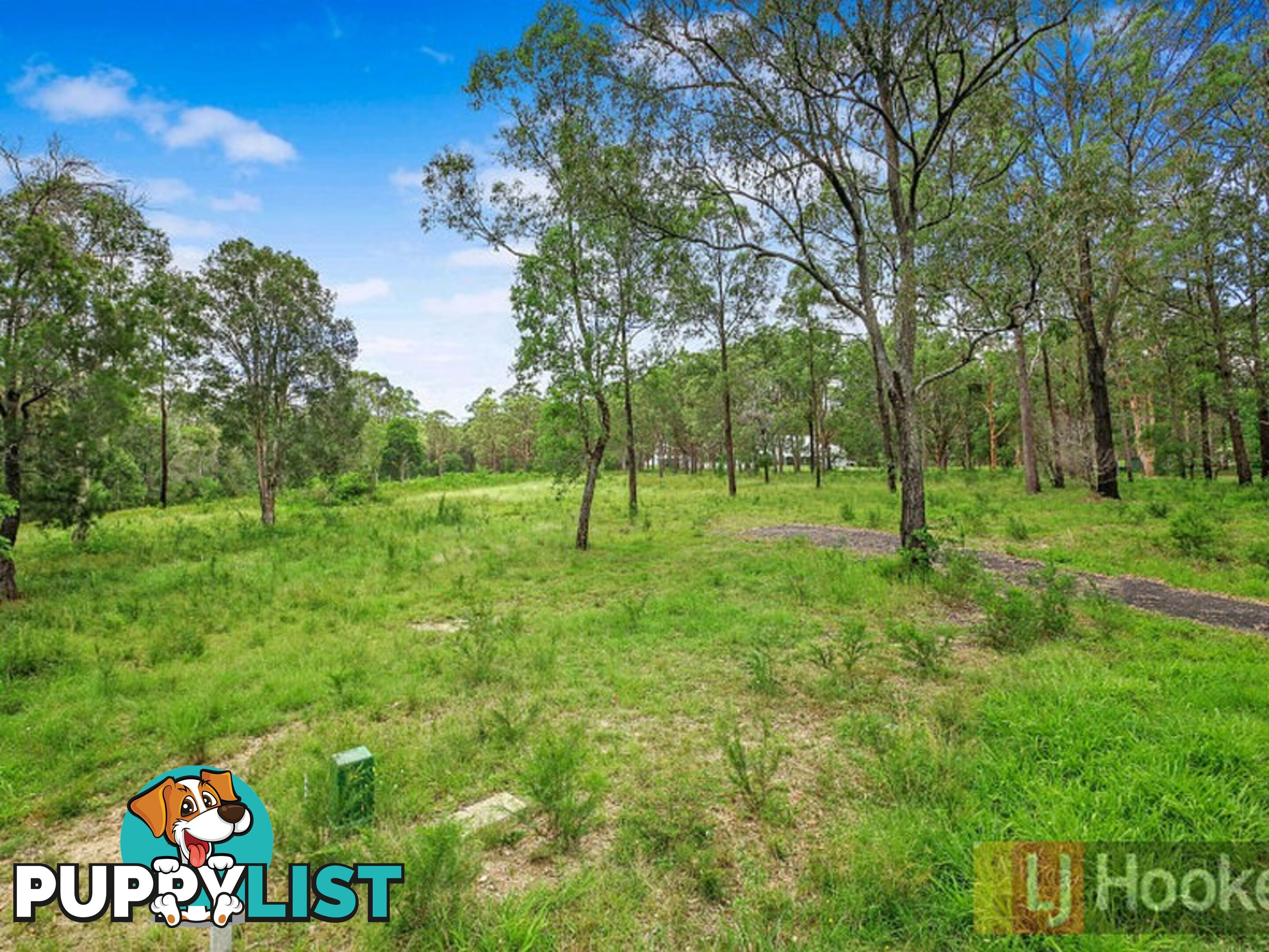 53 Hillview Drive YARRAVEL NSW 2440