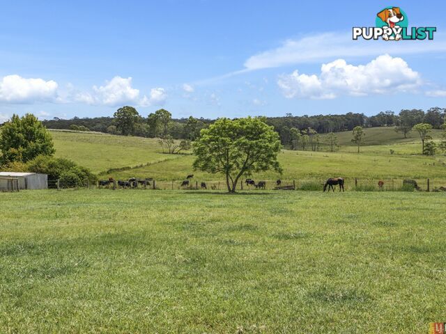 60 Armidale Road YARRAVEL NSW 2440