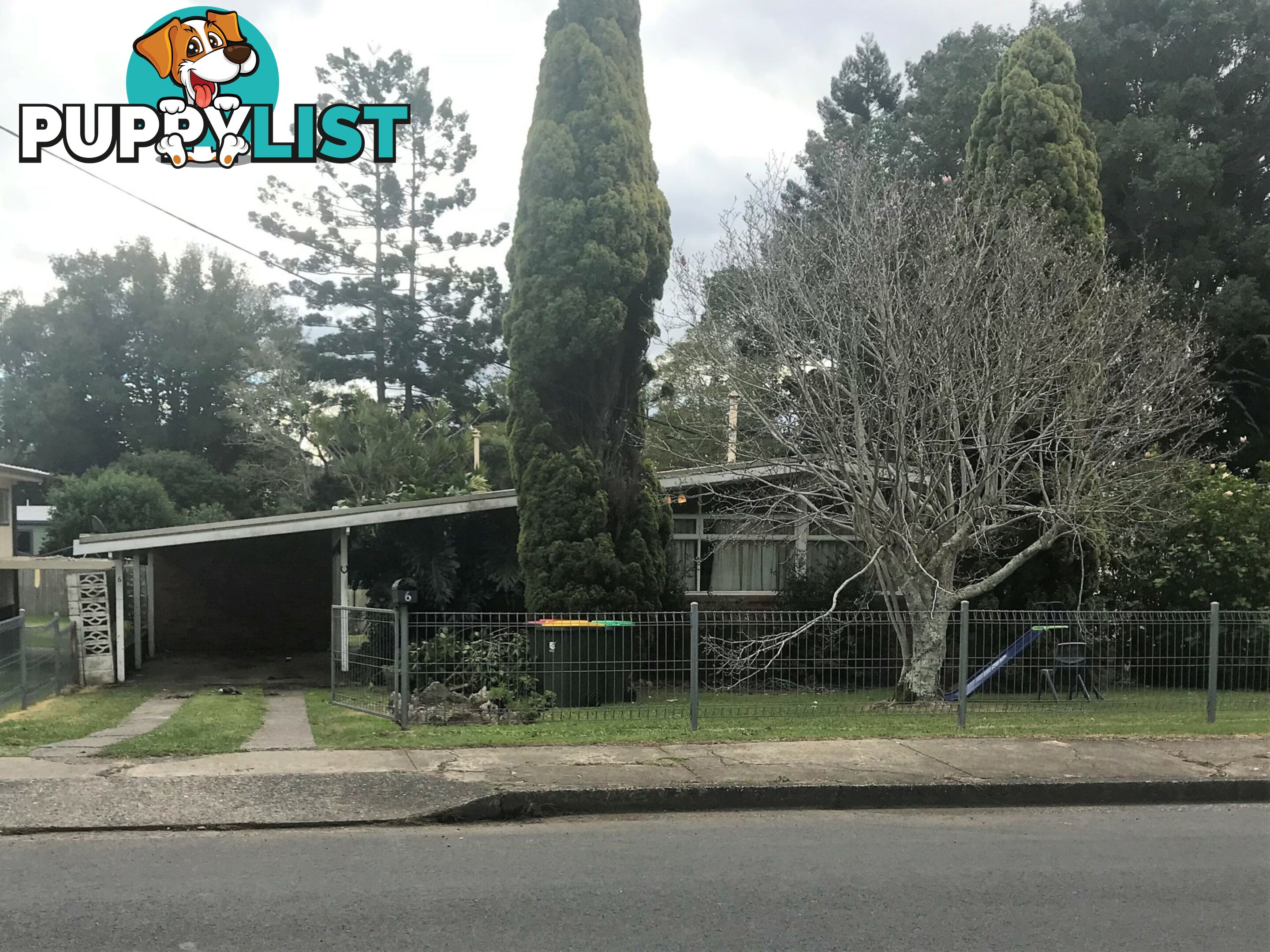 6 Washington Street EAST KEMPSEY NSW 2440