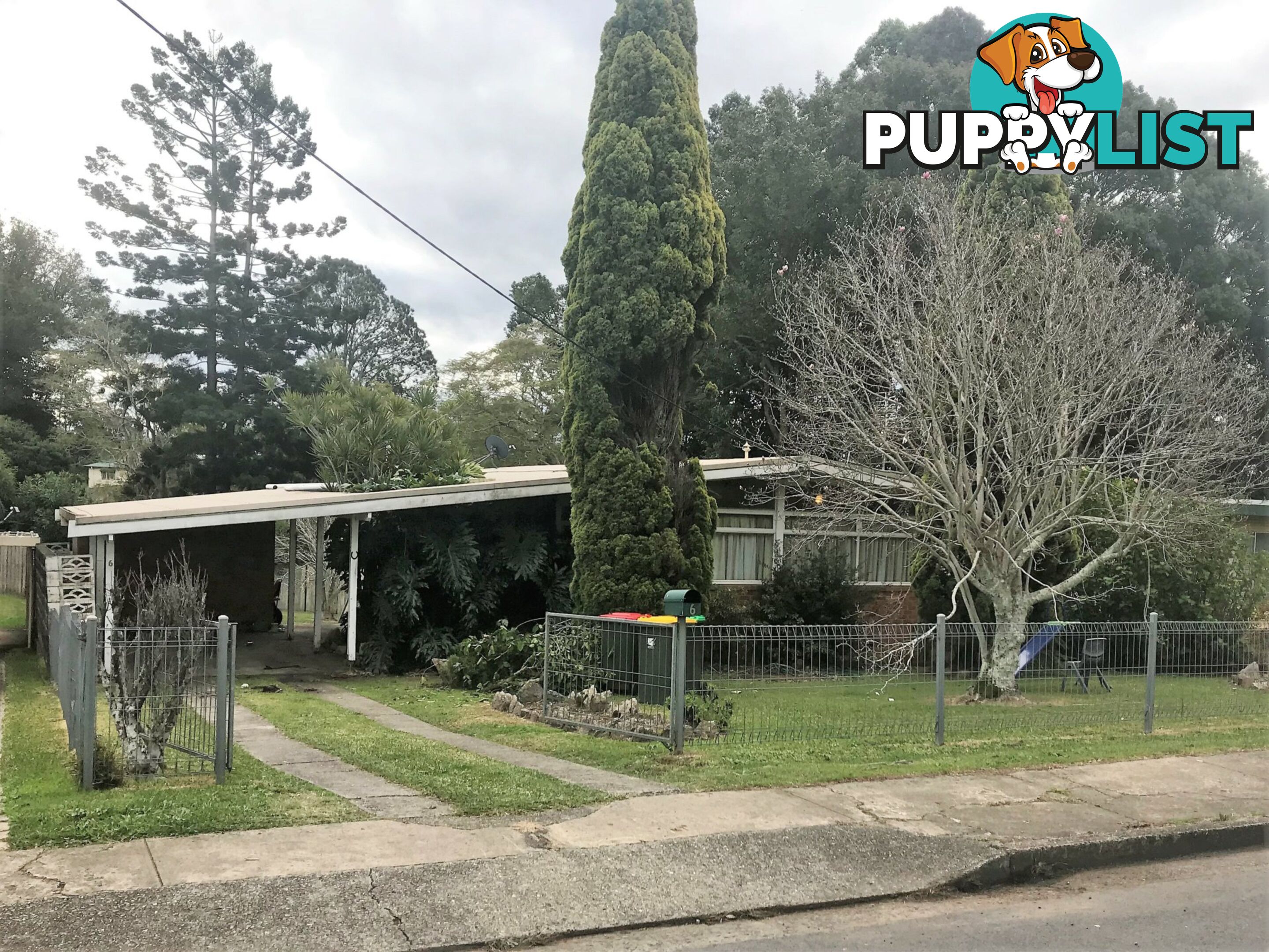 6 Washington Street EAST KEMPSEY NSW 2440