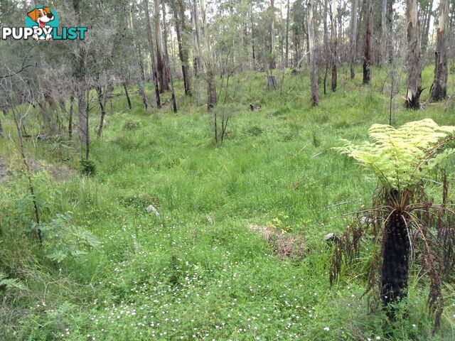 236B Cochrane Fire Trail CARRAI NSW 2440