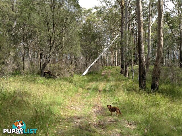 236B Cochrane Fire Trail CARRAI NSW 2440