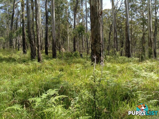 236B Cochrane Fire Trail CARRAI NSW 2440