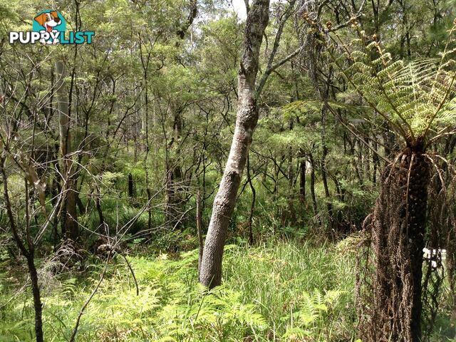 236B Cochrane Fire Trail CARRAI NSW 2440