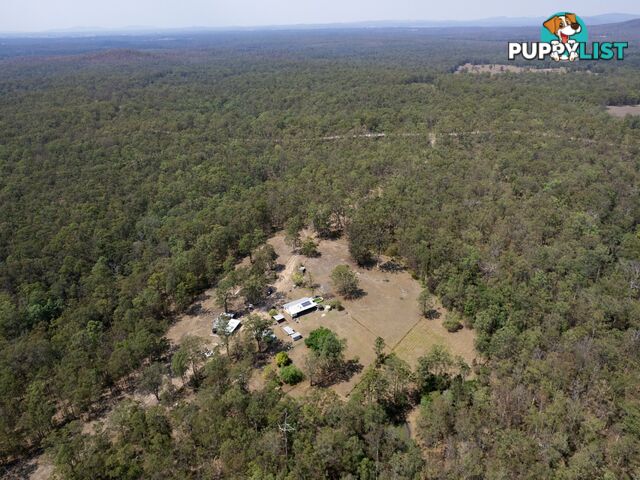 1780 Collombatti Road COLLOMBATTI NSW 2440