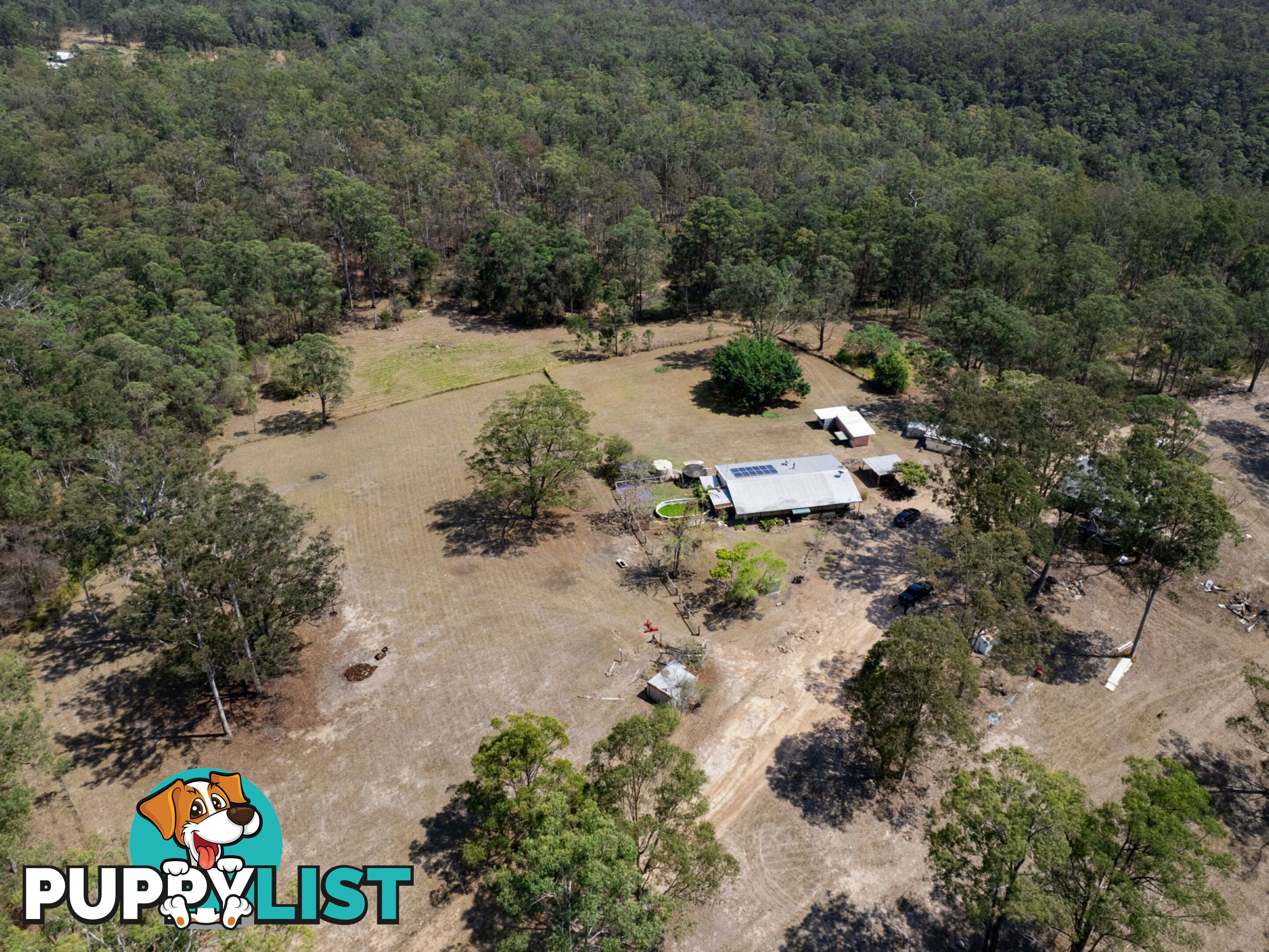 1780 Collombatti Road COLLOMBATTI NSW 2440