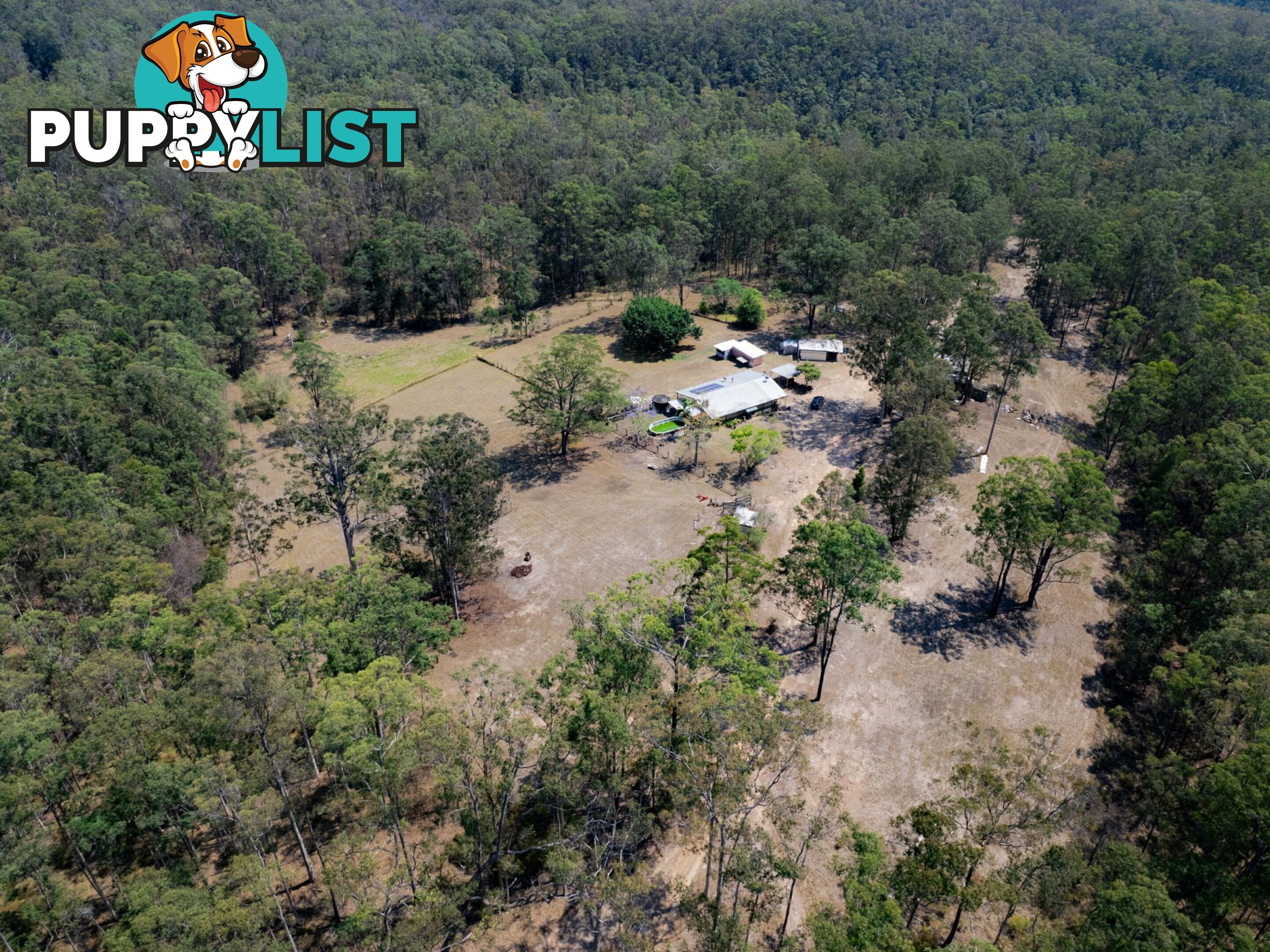 1780 Collombatti Road COLLOMBATTI NSW 2440