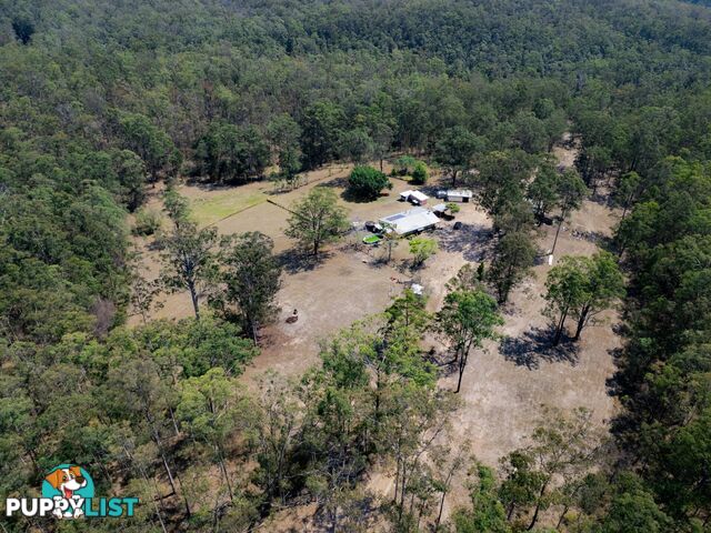 1780 Collombatti Road COLLOMBATTI NSW 2440