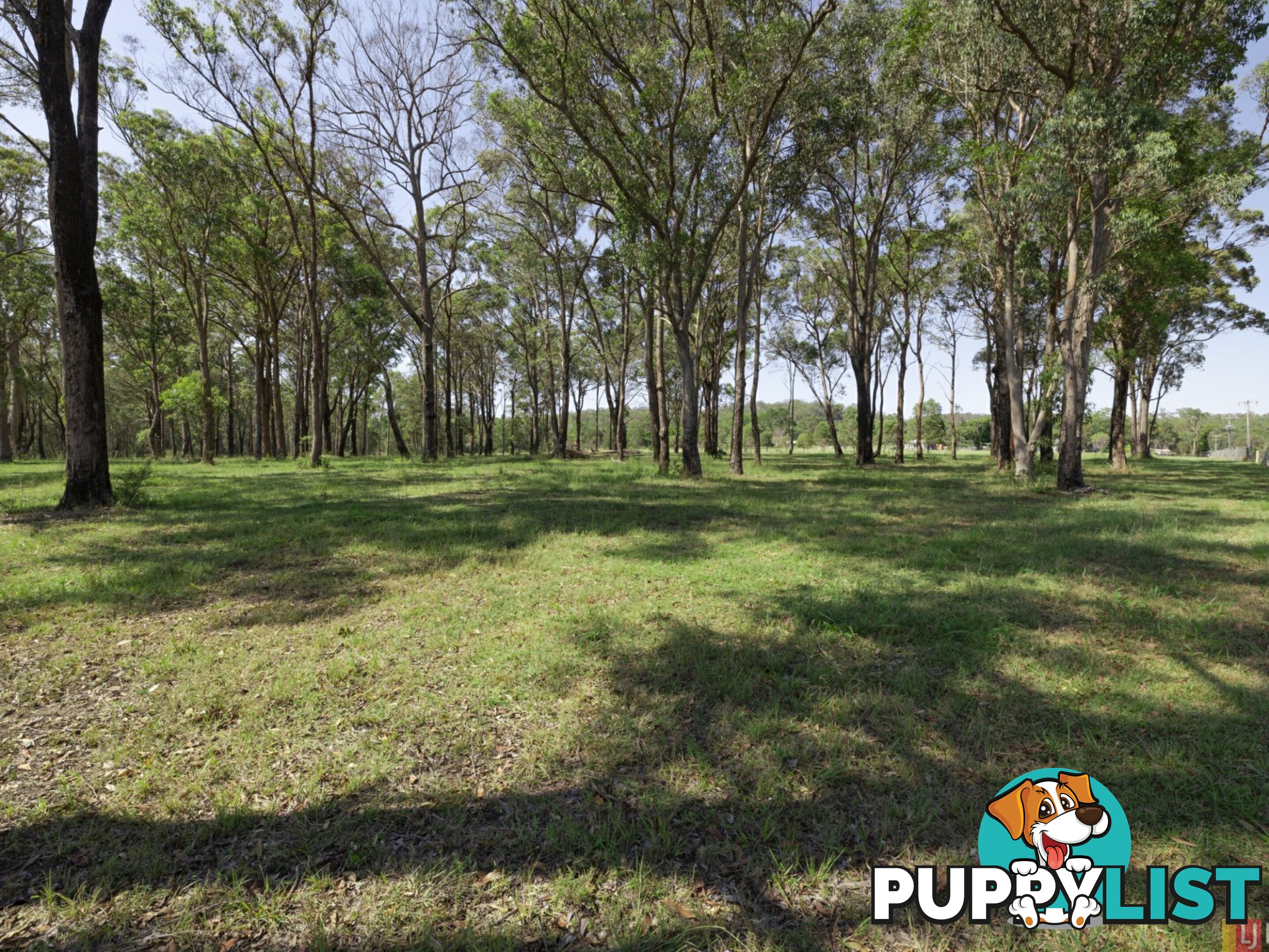 Lot 2/24 Yabsleys Lane SOUTH KEMPSEY NSW 2440