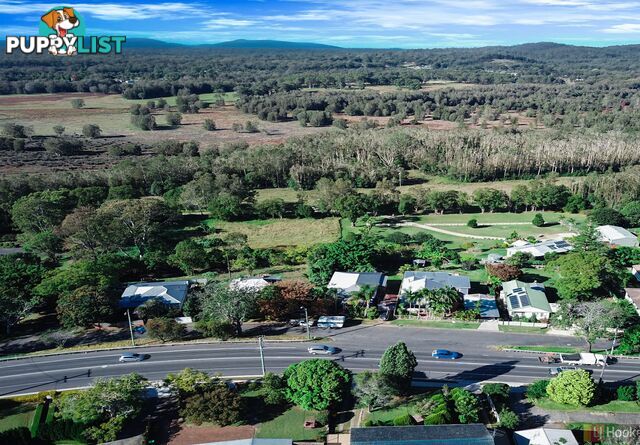 77 Lord Street EAST KEMPSEY NSW 2440