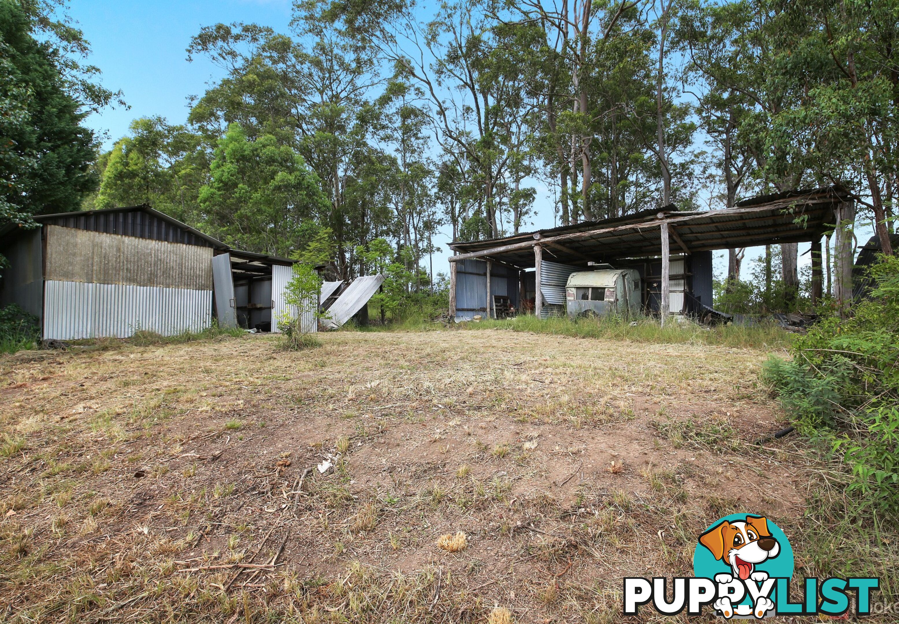 1323 Pipers Creek Road DONDINGALONG NSW 2440