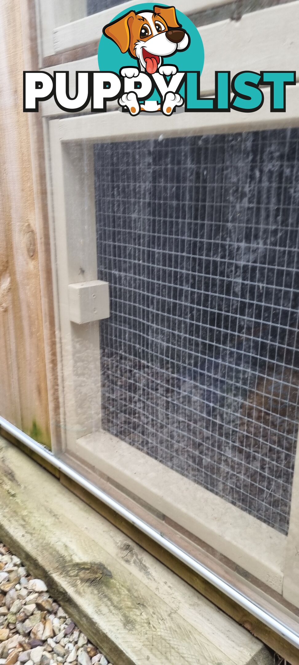 Rabbit,Guinea pig and Chicken Hutch