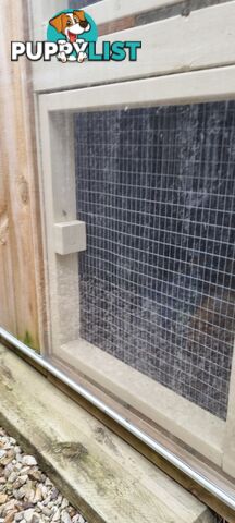 Rabbit,Guinea pig and Chicken Hutch