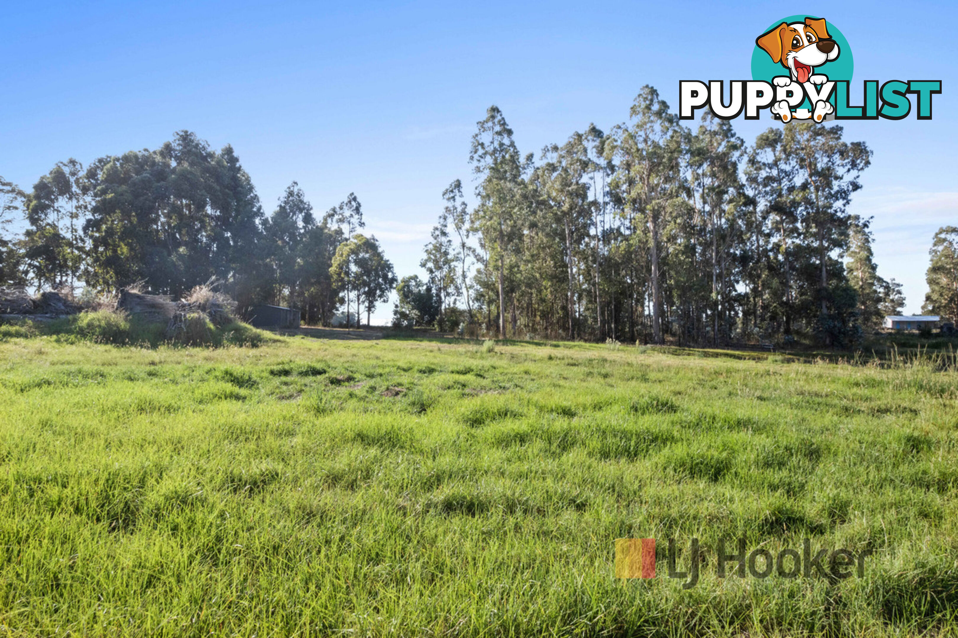 Lot 20 Pemberton - Northcliffe Road NORTHCLIFFE WA 6262