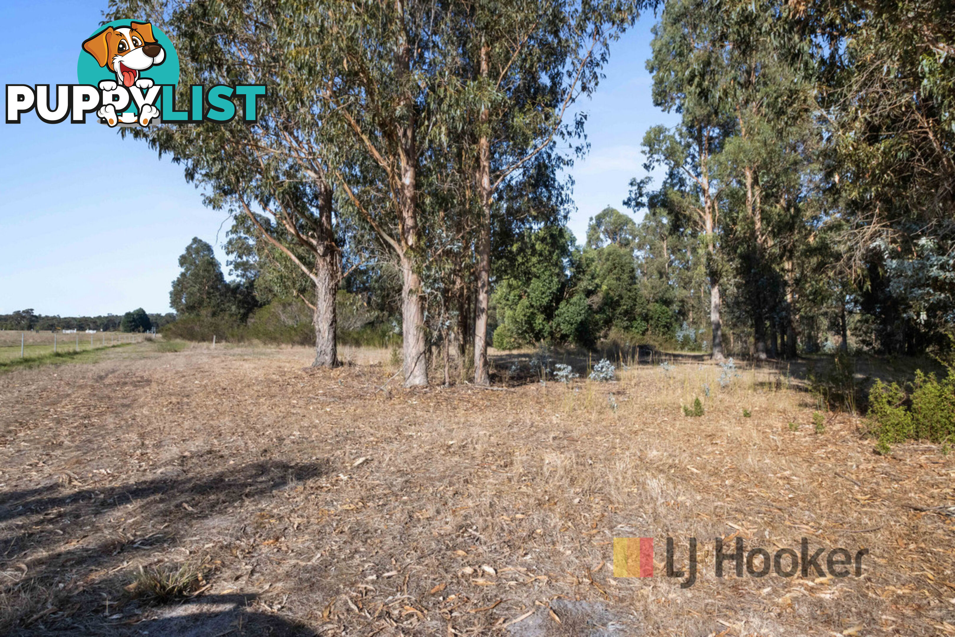 Lot 20 Pemberton - Northcliffe Road NORTHCLIFFE WA 6262