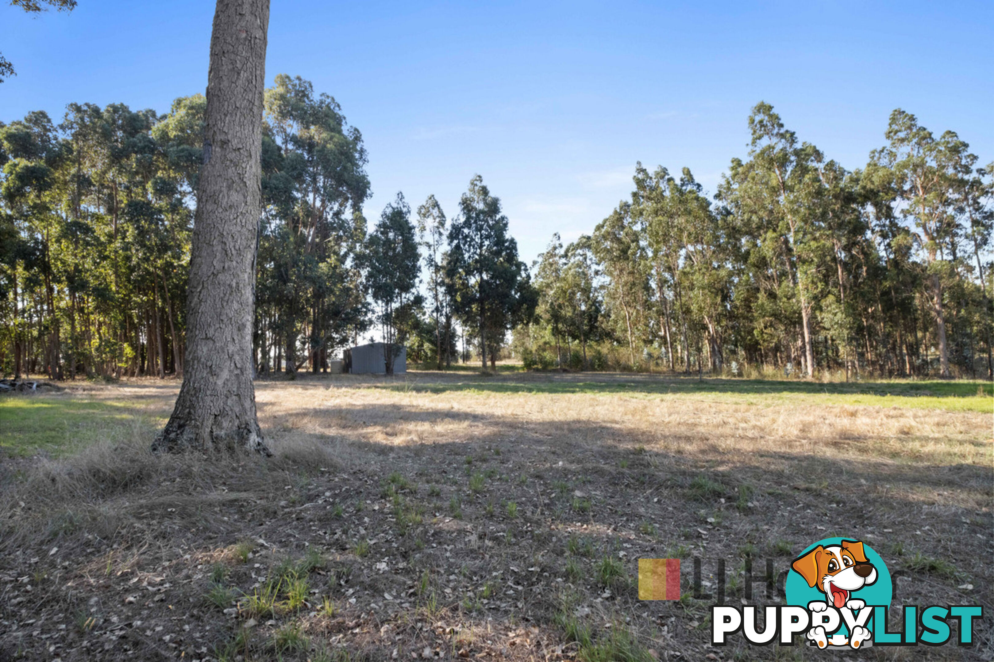 Lot 20 Pemberton - Northcliffe Road NORTHCLIFFE WA 6262