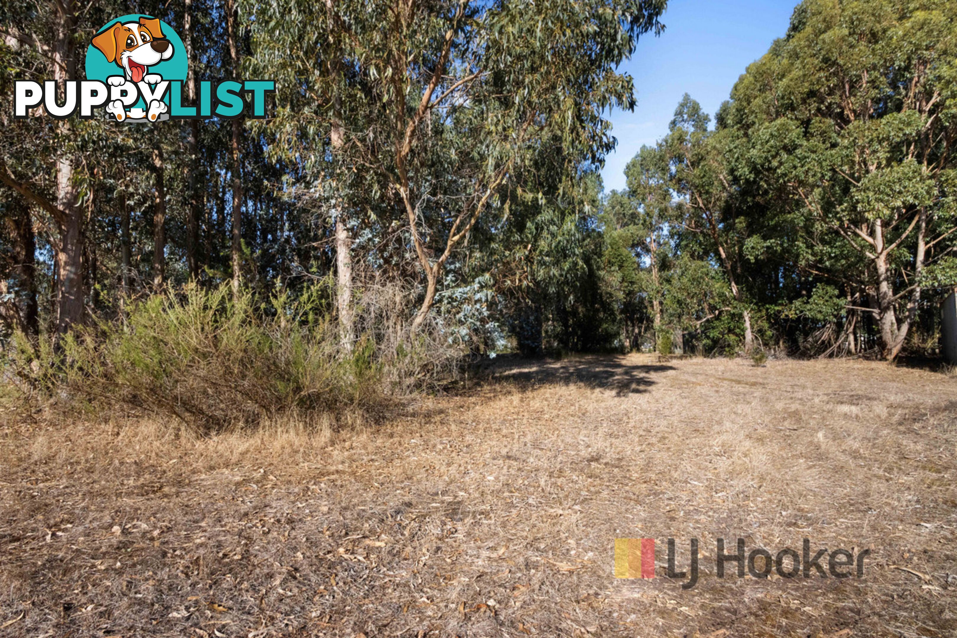 Lot 20 Pemberton - Northcliffe Road NORTHCLIFFE WA 6262