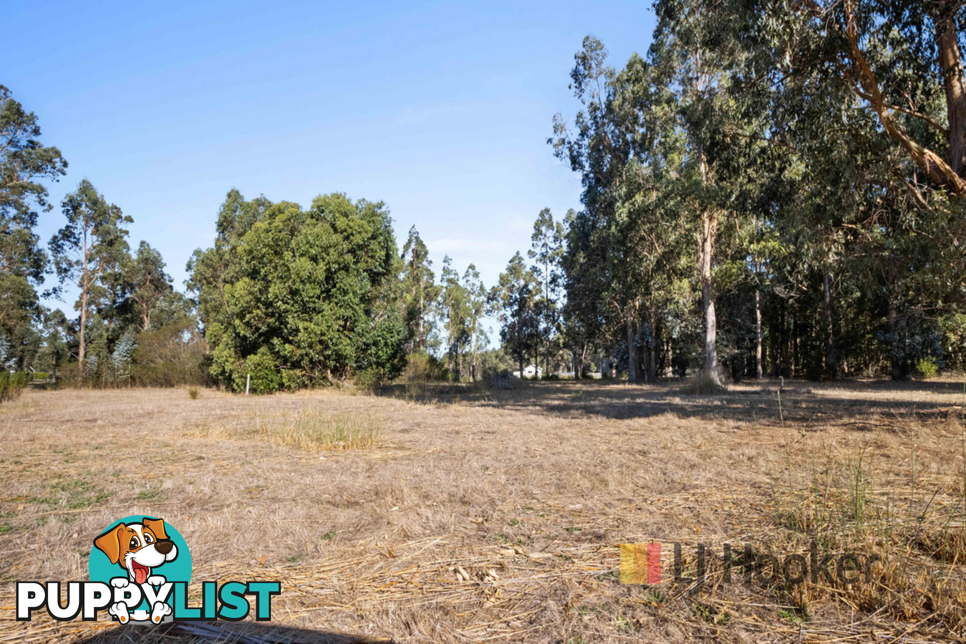 Lot 20 Pemberton - Northcliffe Road NORTHCLIFFE WA 6262