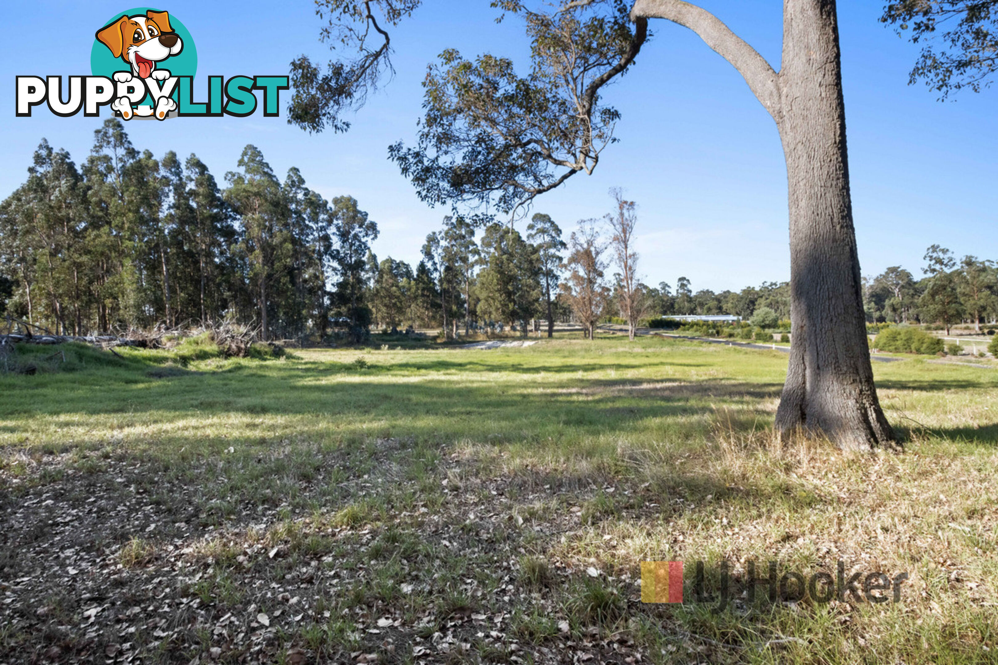 Lot 20 Pemberton - Northcliffe Road NORTHCLIFFE WA 6262