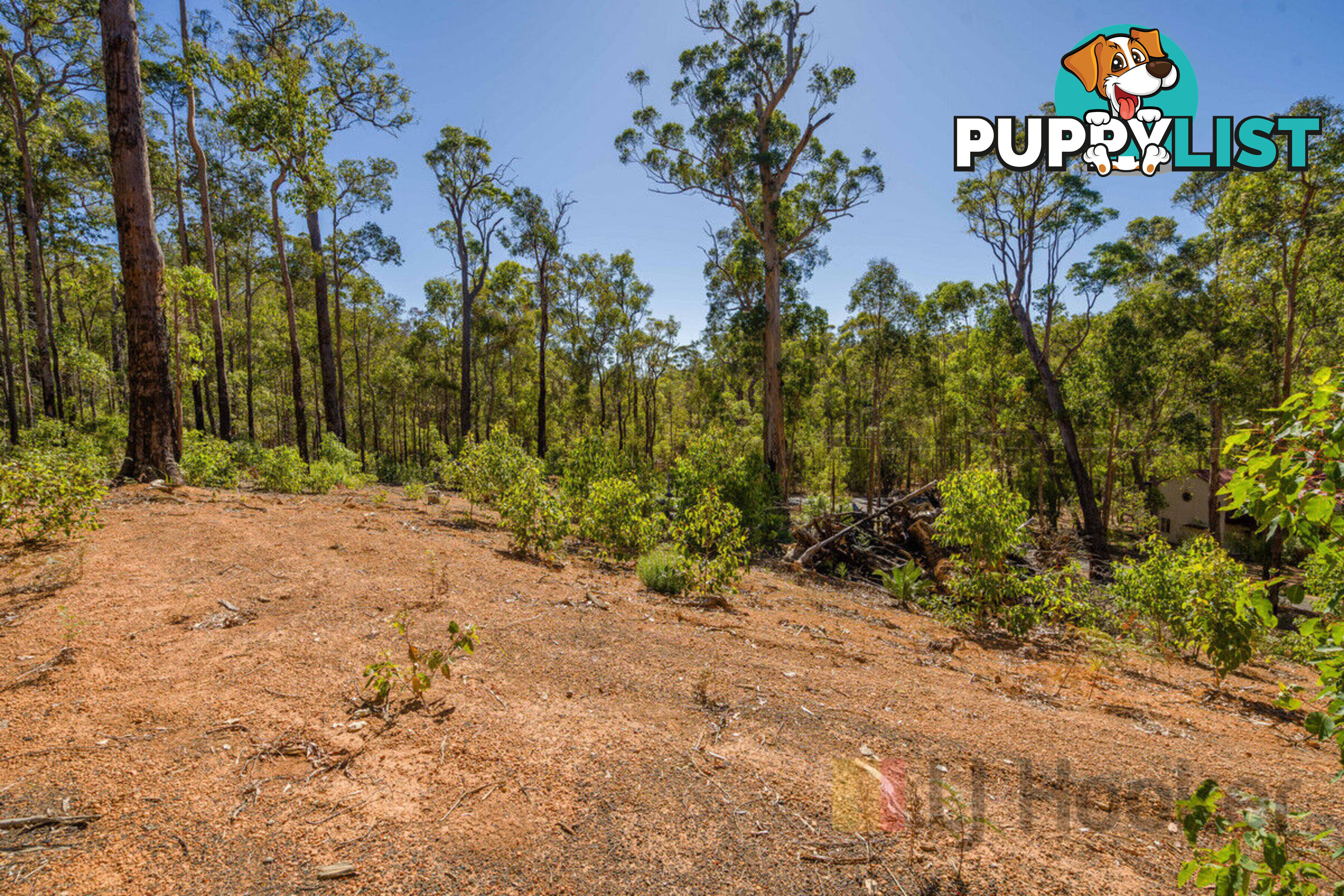 Lot 59/ Karri Lane QUINNINUP WA 6258