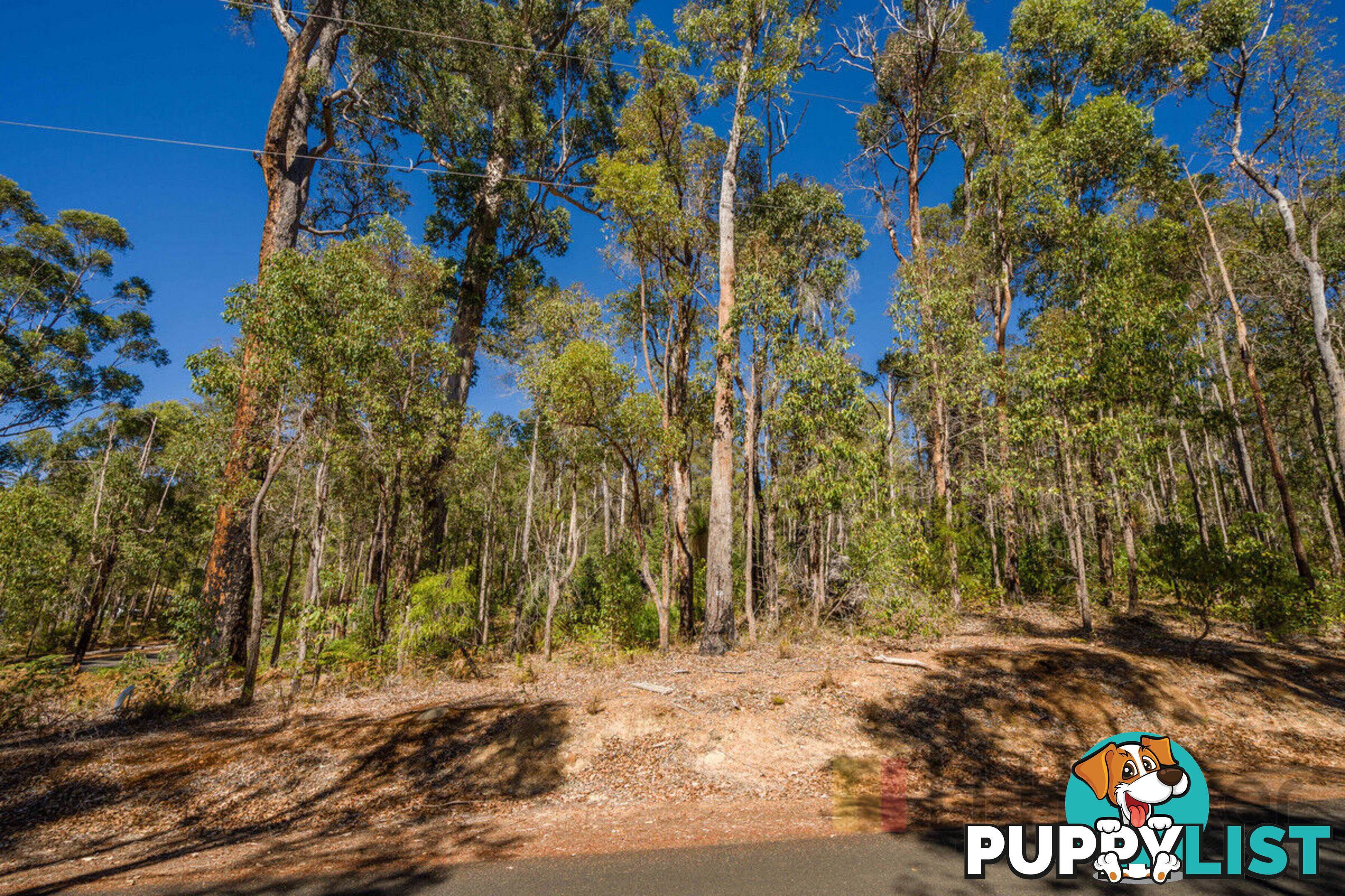 Lot 59/ Karri Lane QUINNINUP WA 6258