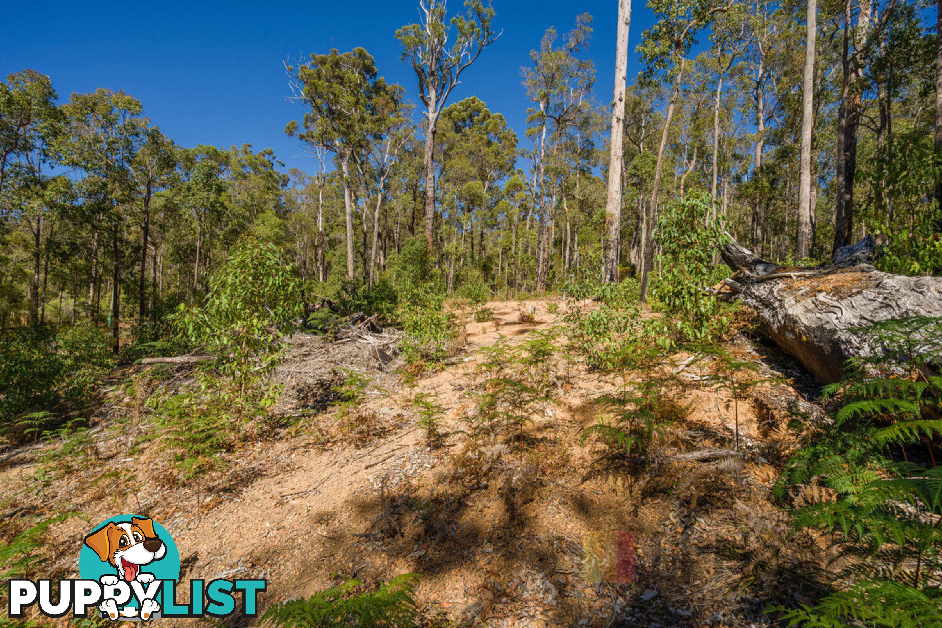 Lot 59/ Karri Lane QUINNINUP WA 6258